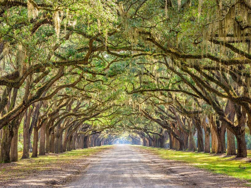 Charleston Real Estate The Brian Beatty Team of Keller Williams Realty