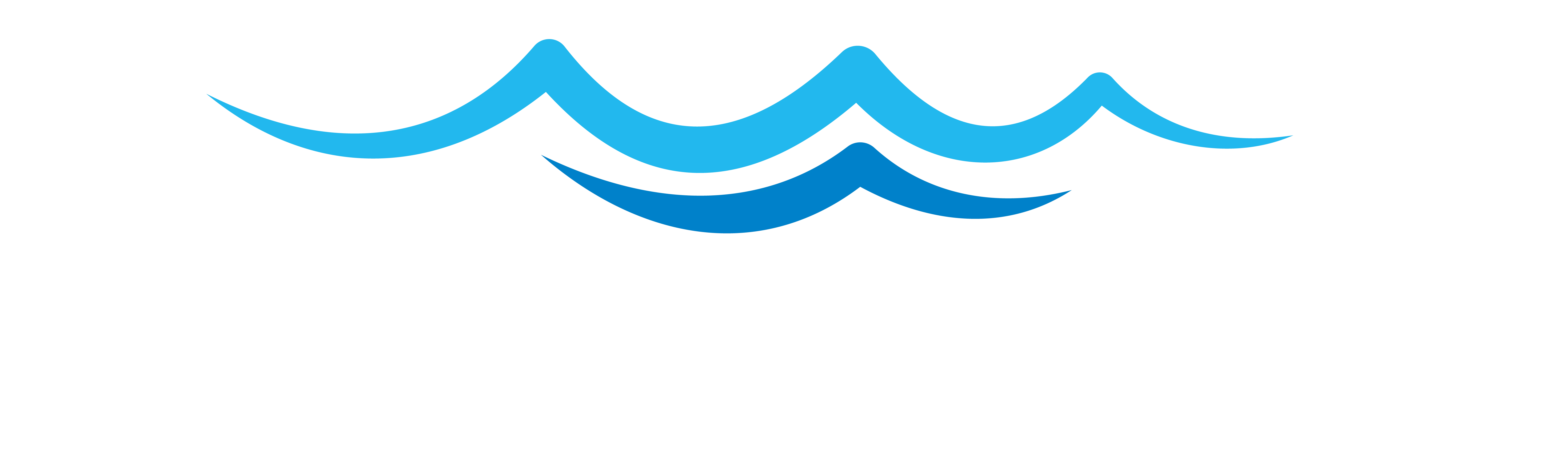 Shoreline Realty